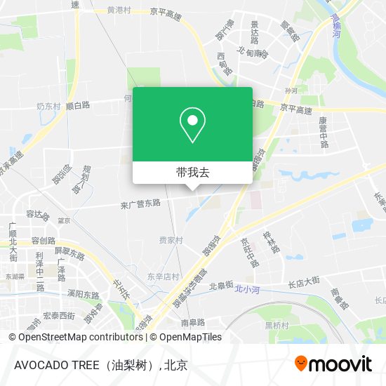AVOCADO TREE（油梨树）地图
