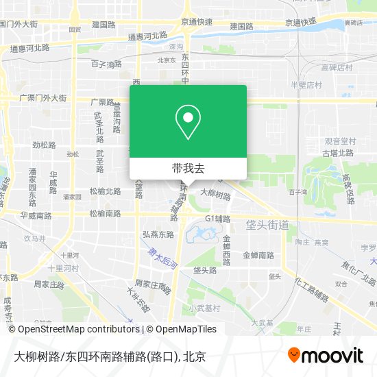 大柳树路/东四环南路辅路(路口)地图