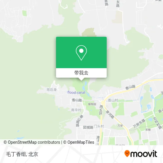 毛丁香组地图