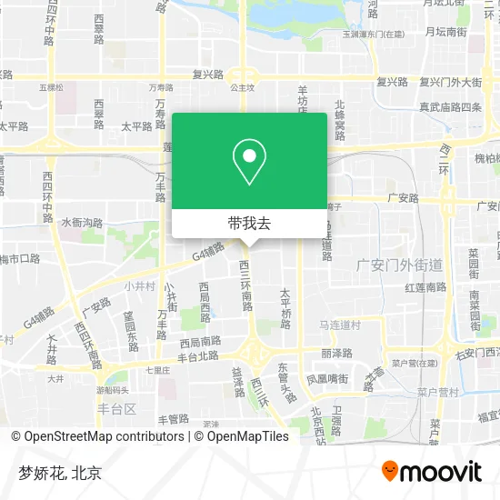 梦娇花地图