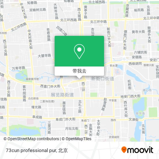 73cun professional pur地图