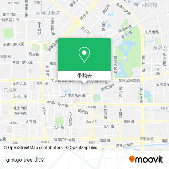 ginkgo tree地图