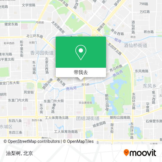 油梨树地图