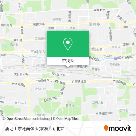 潘记山东呛面馒头(双桥店)地图