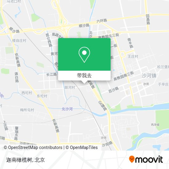 迦南橄榄树地图