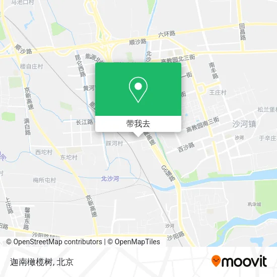 迦南橄榄树地图