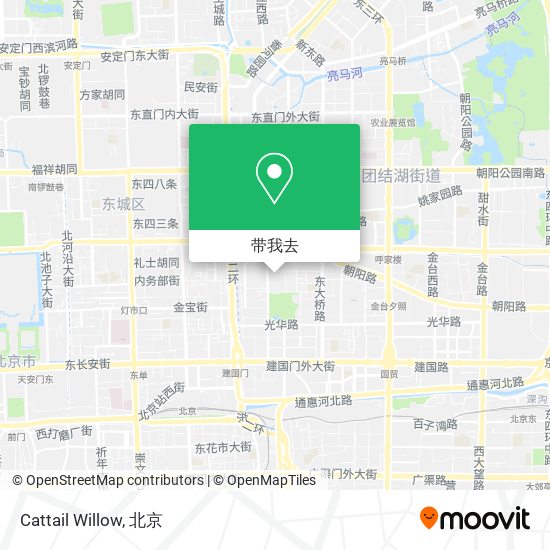 Cattail Willow地图