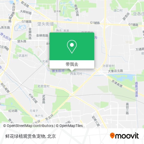 鲜花绿植观赏鱼宠物地图