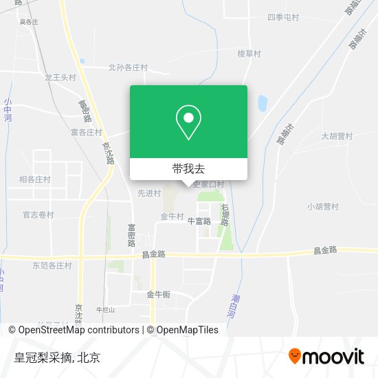 皇冠梨采摘地图