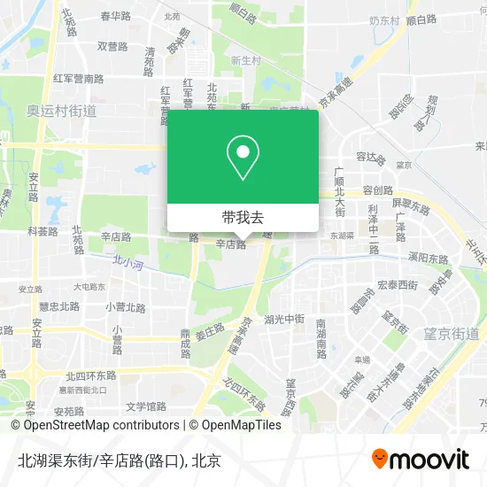 北湖渠东街/辛店路(路口)地图