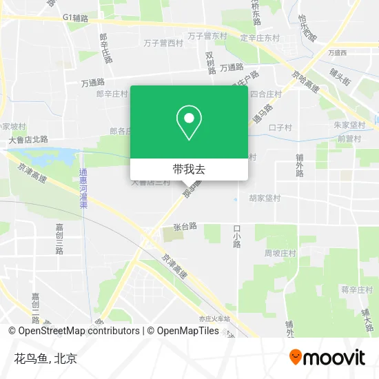 花鸟鱼地图