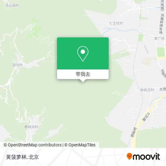 黄菠萝林地图