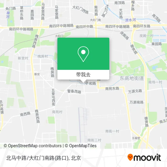 北马中路/大红门南路(路口)地图