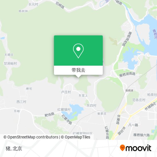 猪地图