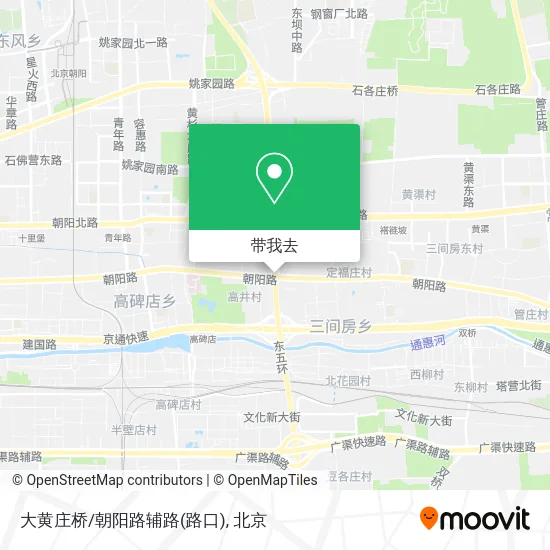 大黄庄桥/朝阳路辅路(路口)地图