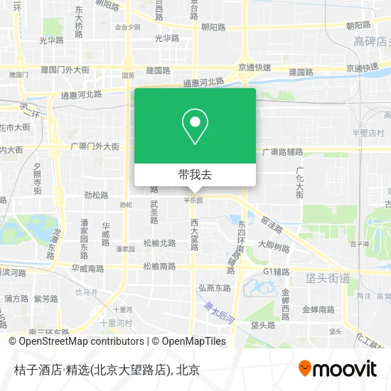 桔子酒店·精选(北京大望路店)地图