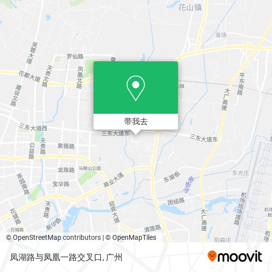 凤湖路与凤凰一路交叉口地图