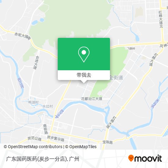 广东国药医药(炭步一分店)地图