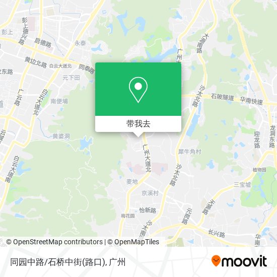 同园中路/石桥中街(路口)地图