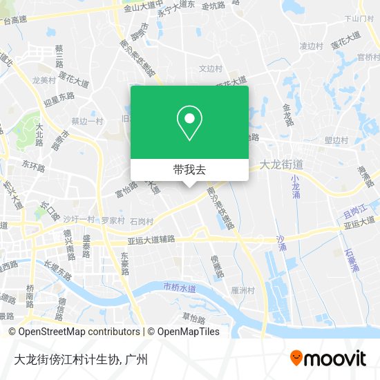 大龙街傍江村计生协地图