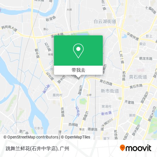 跳舞兰鲜花(石井中学店)地图