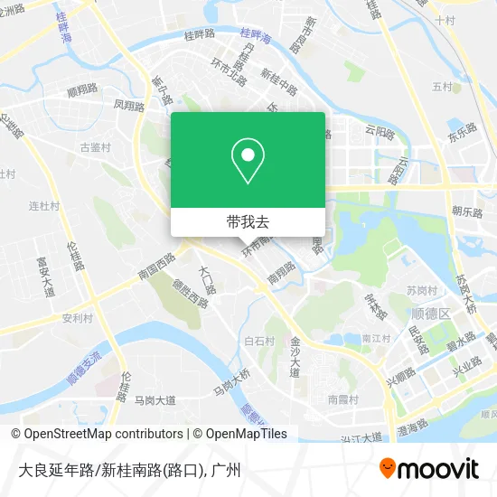 大良延年路/新桂南路(路口)地图