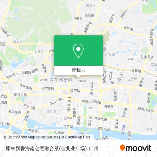 椰林飘香海南创意融合菜(佳兆业广场)地图