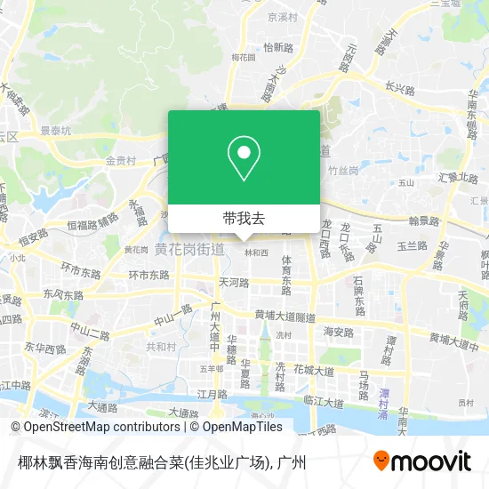 椰林飘香海南创意融合菜(佳兆业广场)地图