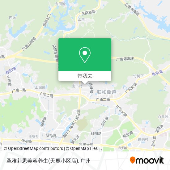 圣雅莉思美容养生(天鹿小区店)地图