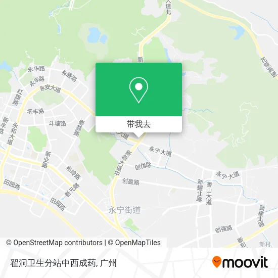 翟洞卫生分站中西成药地图