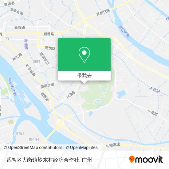 番禺区大岗镇岭东村经济合作社地图