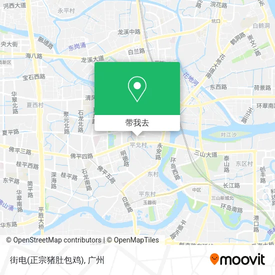 街电(正宗猪肚包鸡)地图
