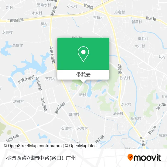 桃园西路/桃园中路(路口)地图