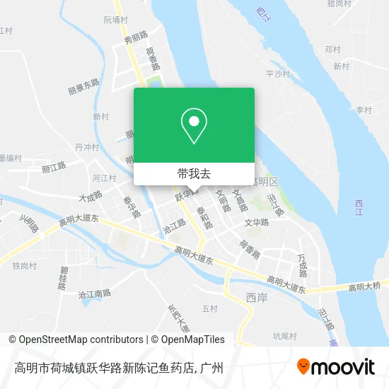 高明市荷城镇跃华路新陈记鱼药店地图