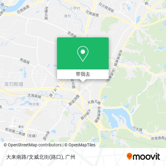 大来南路/文威北街(路口)地图