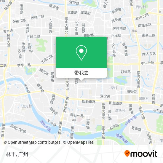 林丰地图