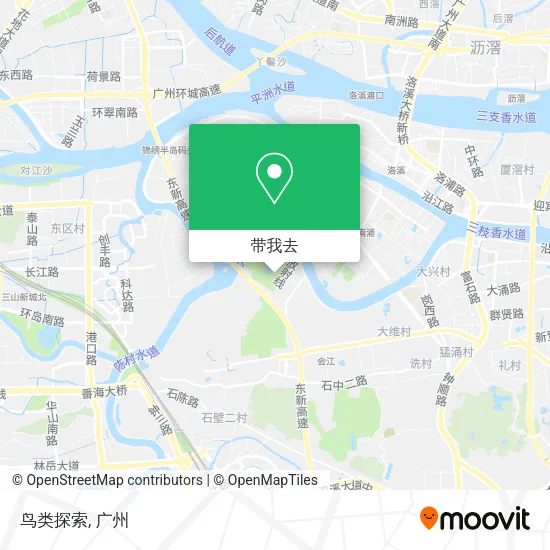鸟类探索地图