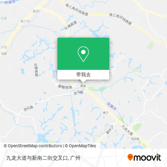 九龙大道与新南二街交叉口地图