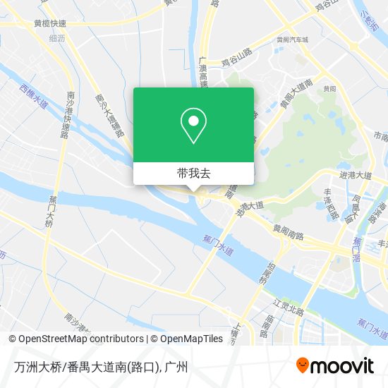 万洲大桥/番禺大道南(路口)地图