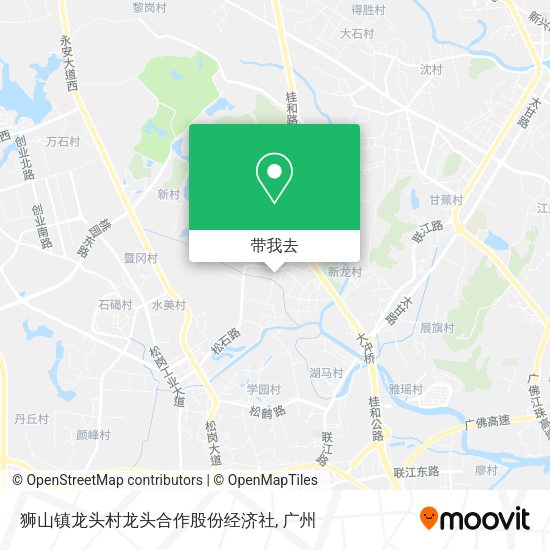 狮山镇龙头村龙头合作股份经济社地图