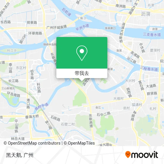黑天鹅地图