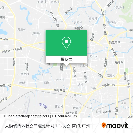 大沥镇西区社会管理处计划生育协会-南门地图