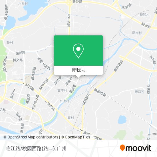 临江路/桃园西路(路口)地图