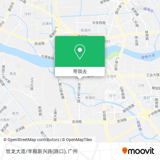 世龙大道/羊额新兴路(路口)地图