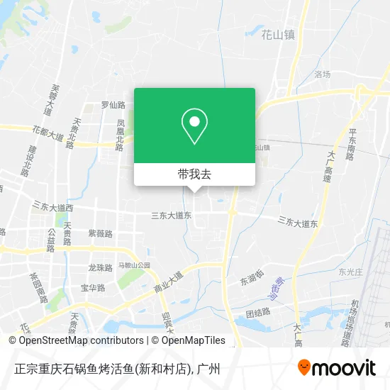 正宗重庆石锅鱼烤活鱼(新和村店)地图