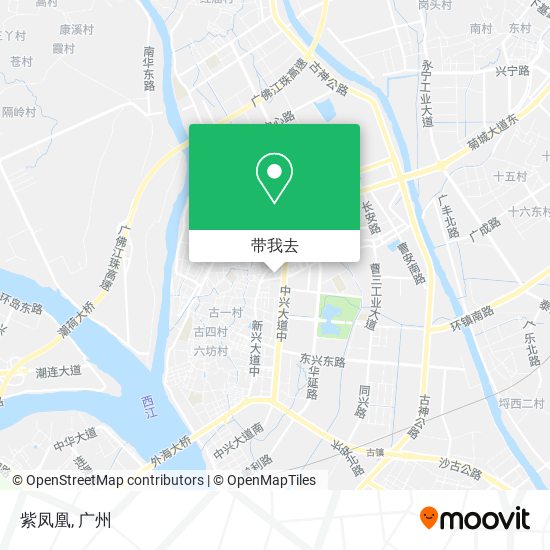 紫凤凰地图