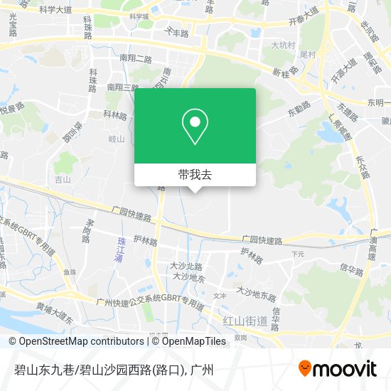 碧山东九巷/碧山沙园西路(路口)地图