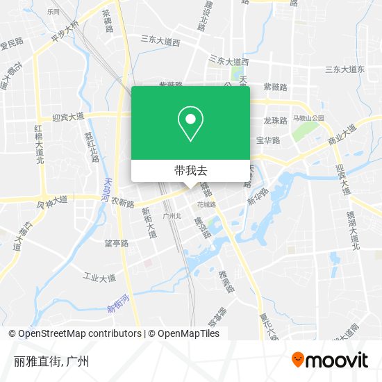 丽雅直街地图