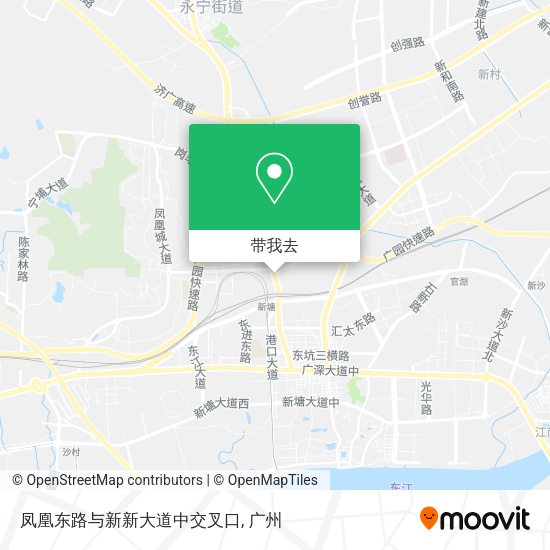 凤凰东路与新新大道中交叉口地图