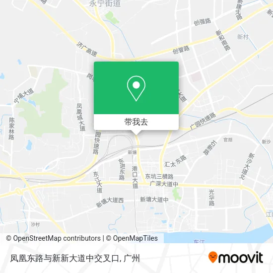 凤凰东路与新新大道中交叉口地图